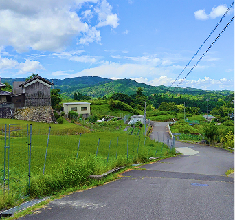 里山の道