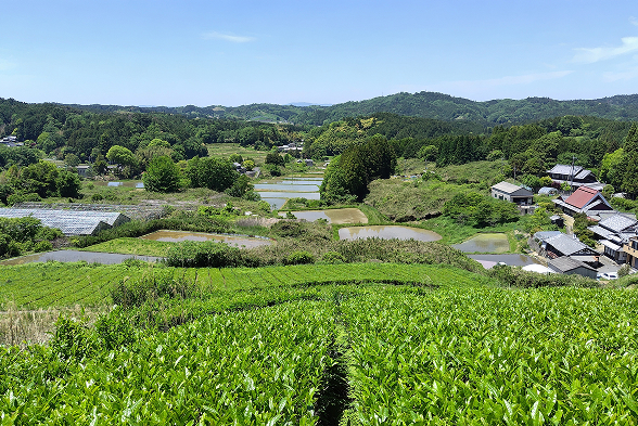 田原地区の風景
